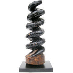 Spiraling Snake