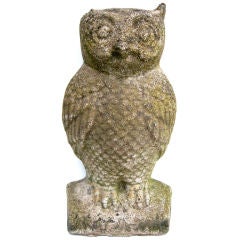 Wintry Owl