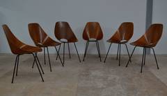 Six Medea chairs