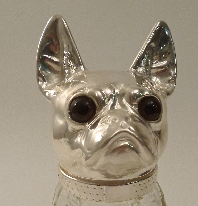 french bulldog perfume