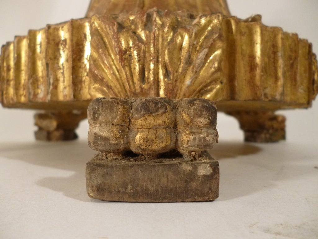 Pair Oversize Carved Giltwood Pricket Sticks