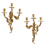 Pair Louis XV Style Ormolu Wall Sconces in manner of Caffieri