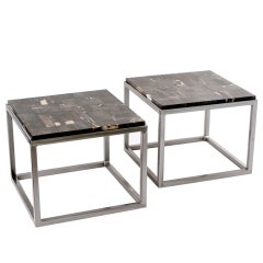 Pair Petrified Wood End Tables