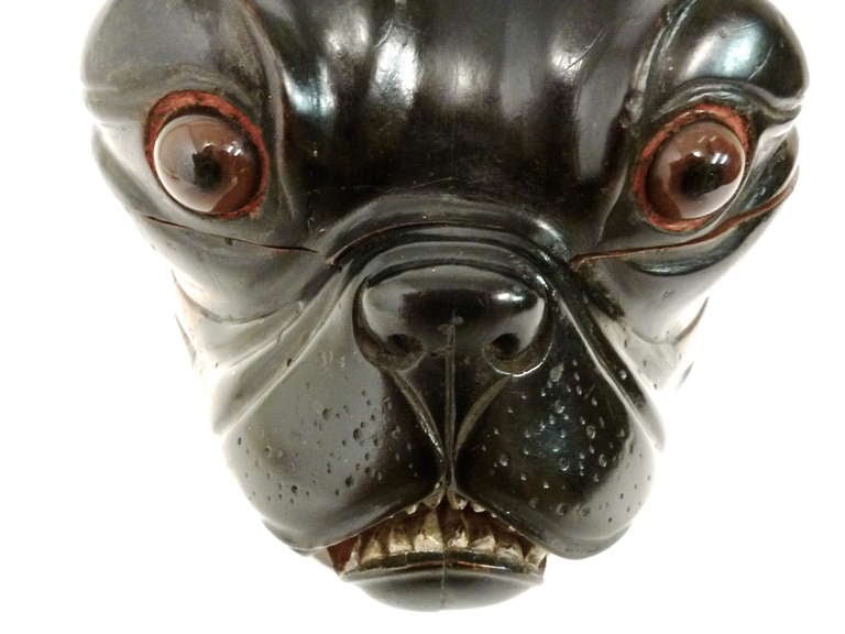 British Large Victorian Tobacco Jar in the shape of a Pugs Head c.1880