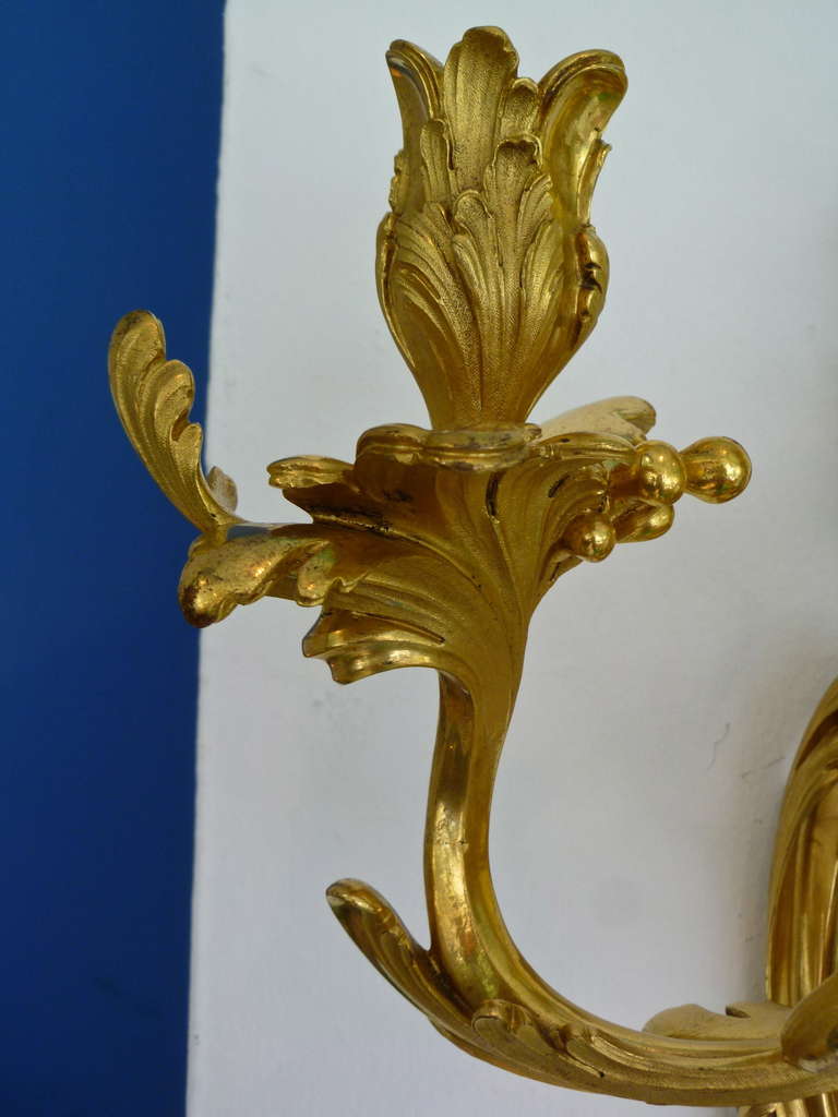 Pair Glamourous French Ormolu Rococo Wall Sconces c.1850 3