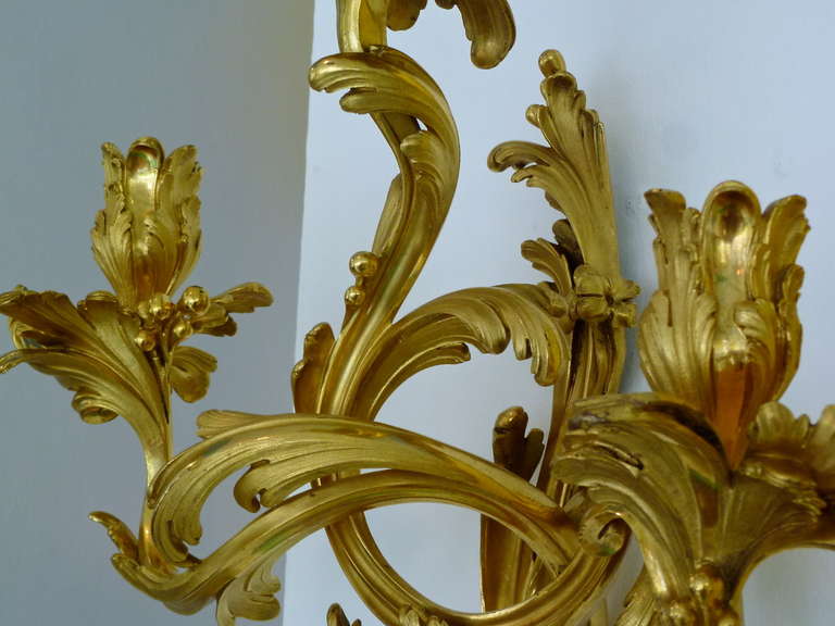 Pair Glamourous French Ormolu Rococo Wall Sconces c.1850 2