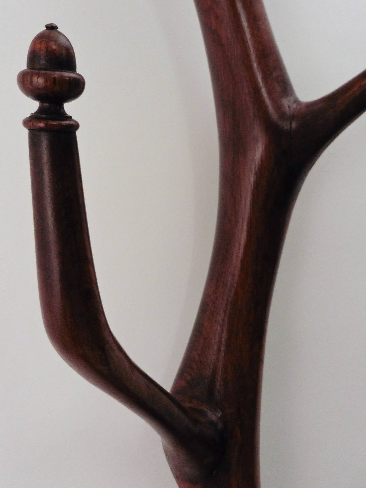 Late 19th Century French Provincial Carved Oak Organic Form Hatstand Tree with Acorn Motifs