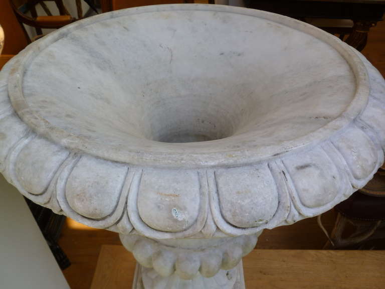 Pair of elegant Carrara marble Italian campana shaped garden urns c.1900.
The egg and dart rim above a plain frieze supported by a waisted and flared, gadrooned socle, on a square stepped plinth base.