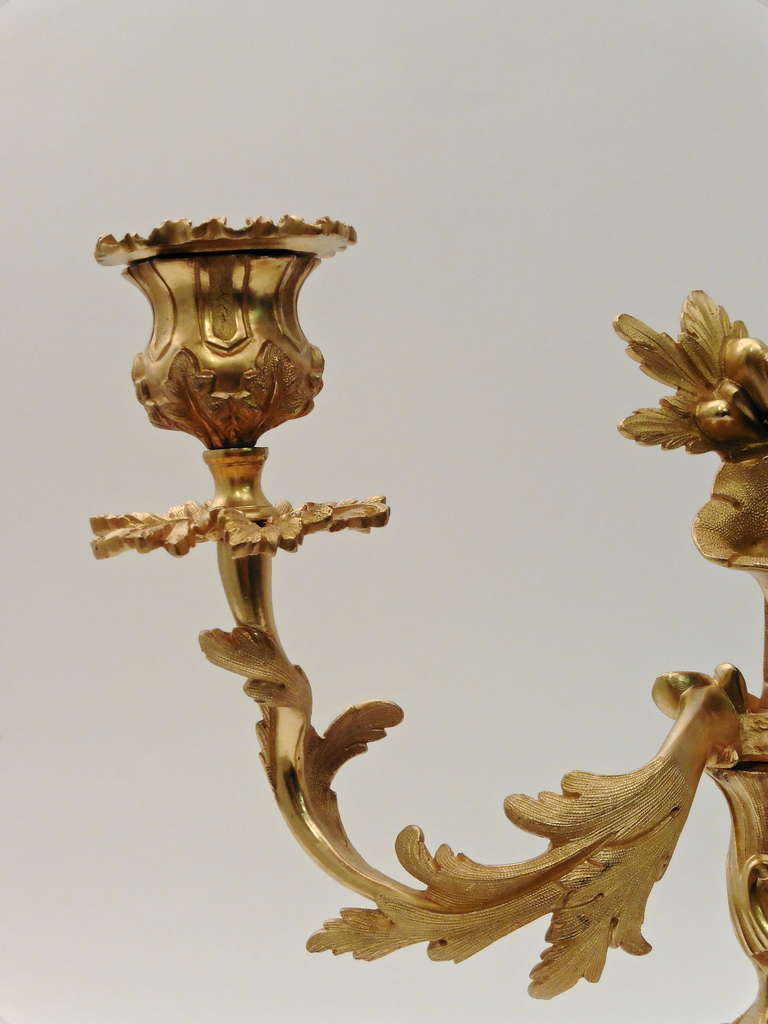 19th Century Pair of French Rococo Style Twin Branch Ormolu Candelabra c.1880