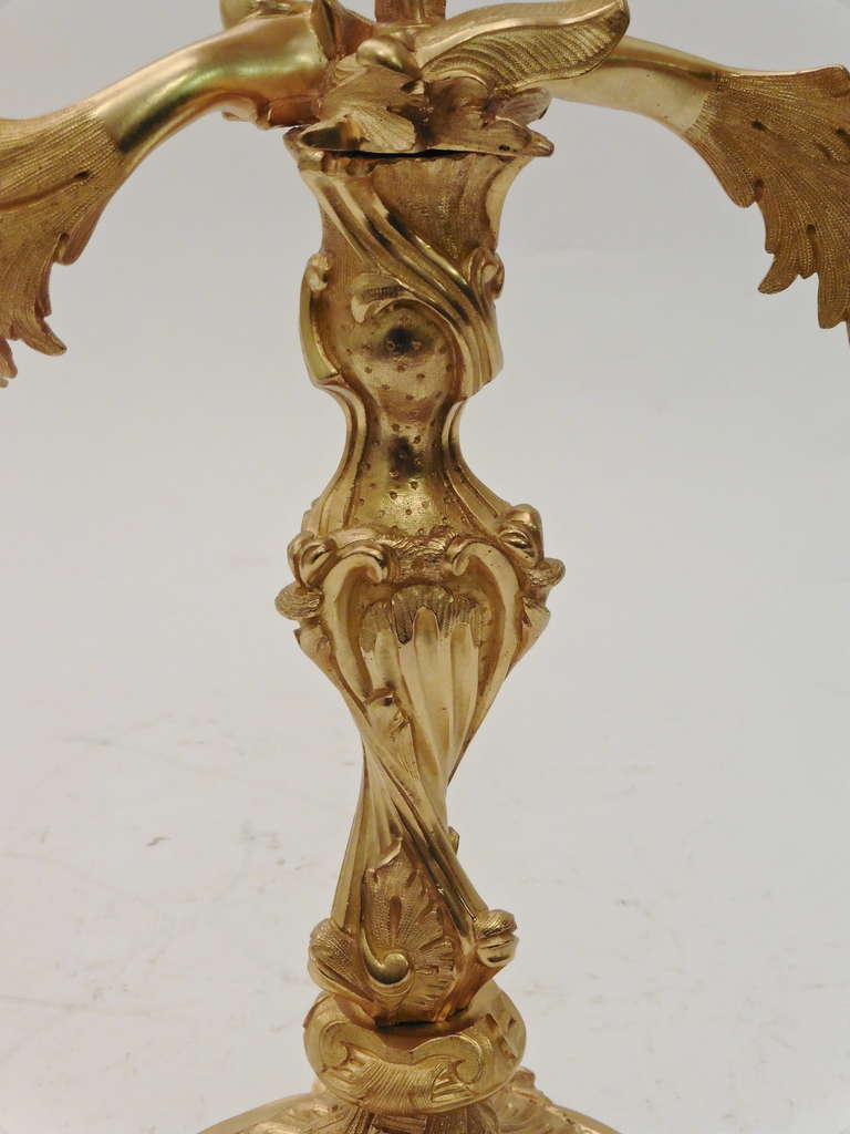 Pair of French Rococo Style Twin Branch Ormolu Candelabra c.1880 2