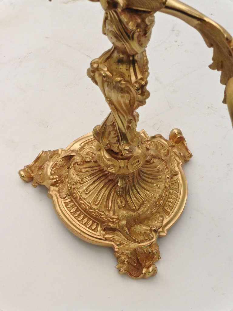 Pair of French Rococo Style Twin Branch Ormolu Candelabra c.1880 3