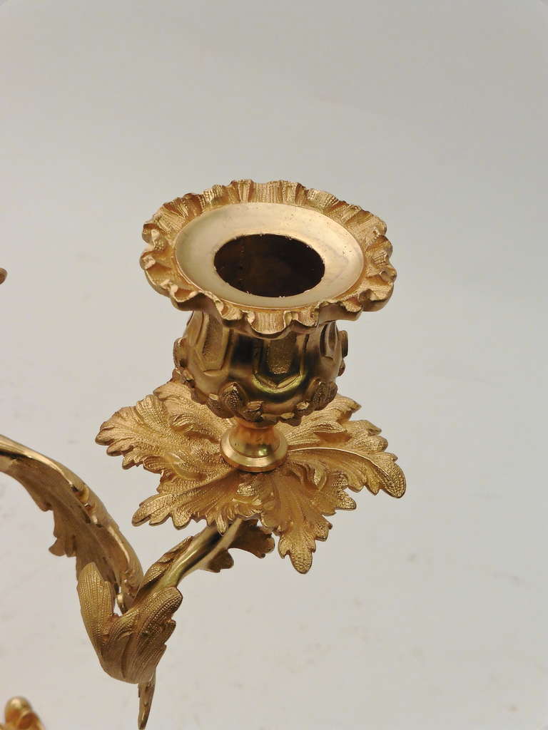 Pair of French Rococo Style Twin Branch Ormolu Candelabra c.1880 1