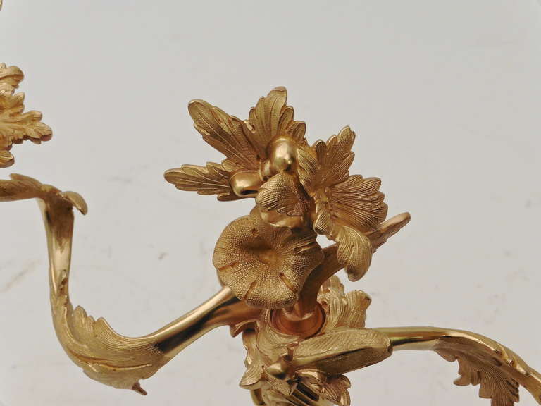 Pair of French Rococo Style Twin Branch Ormolu Candelabra c.1880 In Good Condition In London, GB