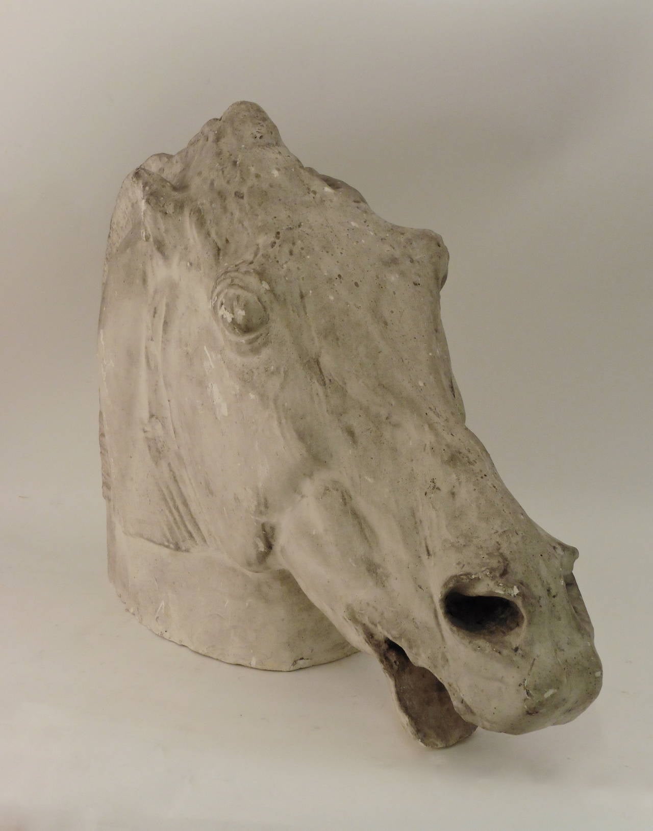 20th Century Continental Plaster Horses Head Modelled after the Horse