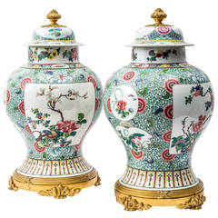 Pair of 19th Century Famille Verte Jars and Covers with French Ormolu Mounts
