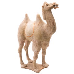 Chinese Tang Dynasty Braying Camel