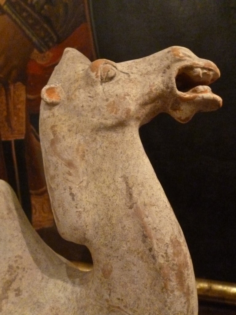 Chinese Tang Dynasty painted pottery standing Bactrian camel,  618-906AD. The camel was seen as essential to the well being and prosperity of the Chinese people, and figurines were often put  into the tombs of the rich and powerful to provide