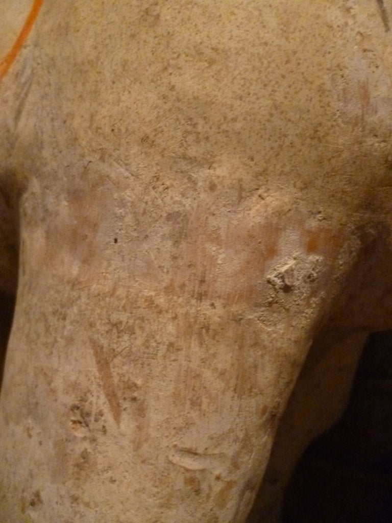 Chinese Tang Dynasty Braying Camel 1