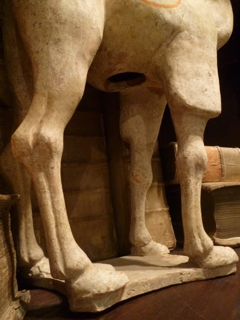 Chinese Tang Dynasty Braying Camel 5