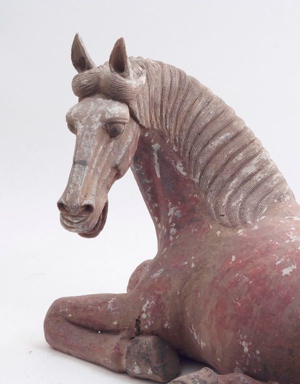 Chinese Tang Dynasty Pottery Horse 1