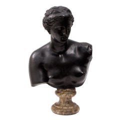 Italian Bronze Bust of Venus De Milo on Cipollino Marble Socle