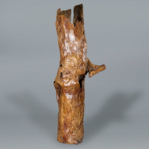 An imposing Narra wood trunk sculpture by Alex Cayet, France, contemporary.

We have placed a dining chair in one of the images to give you some idea of the size of this incredibly striking sculptural piece.

The wood, taken from fallen trees in