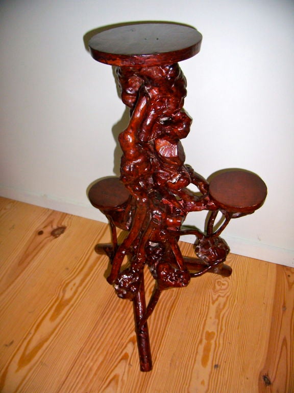 20th Century pair burl wood root stands/plant stands For Sale