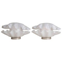 Retro A Pair of Pearlescent Acrylic Rougier Shell Lamps 1970s