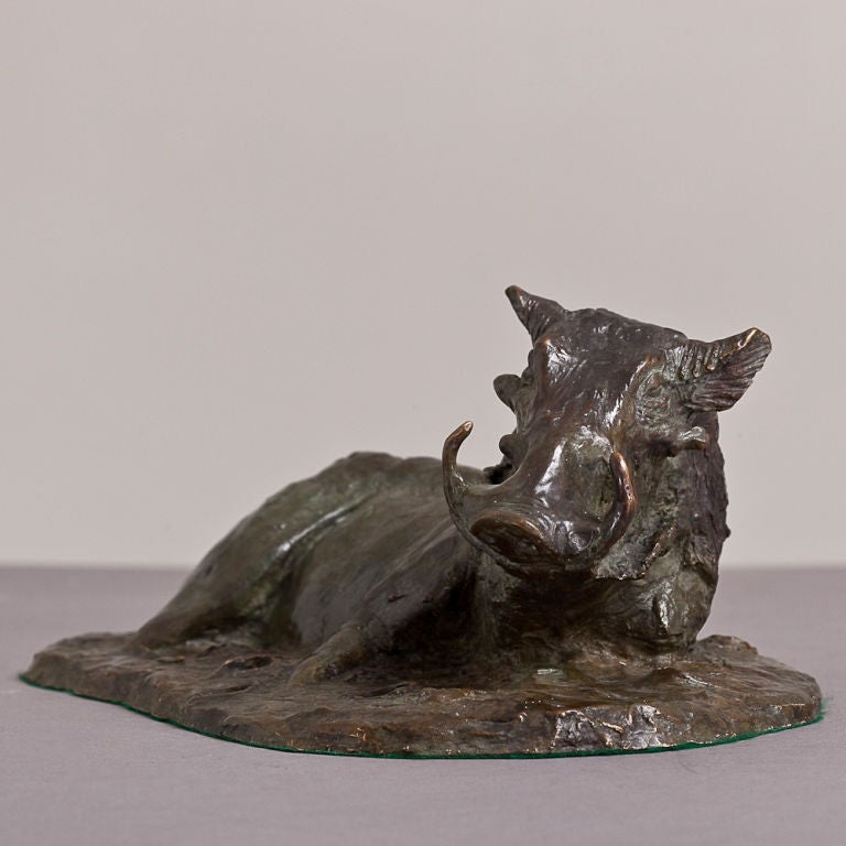 A Bronze Cast of a Warthog by Tim Nicklin