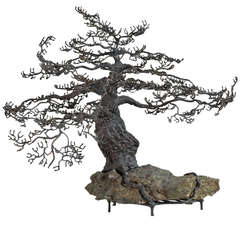 Superb Sculpture in Bronze of a Bonsai Oak Tree in Winter