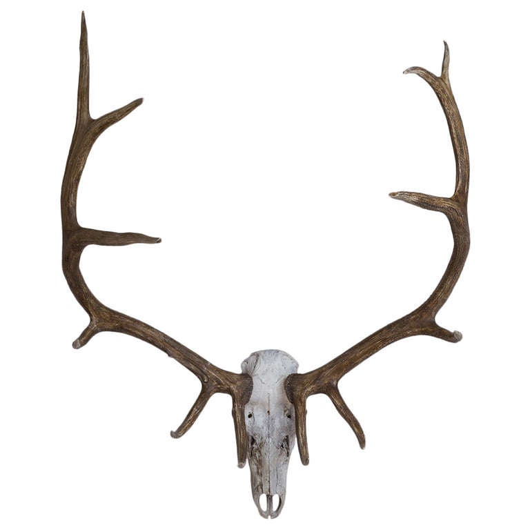 A Wall Mounted Elk Skull and Antlers Sculpture 1950s at 1stDibs
