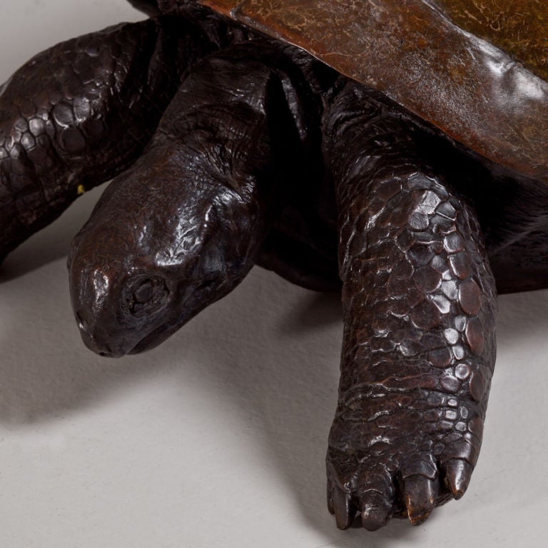 Contemporary A Bronze Cast of a Tortoise by Talisman For Sale