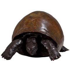 A Bronze Cast of a Tortoise by Talisman