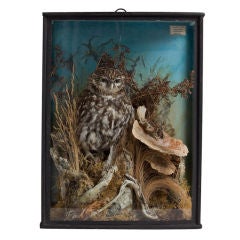 An Owl on a Tree Stump in a Glass Fronted Case