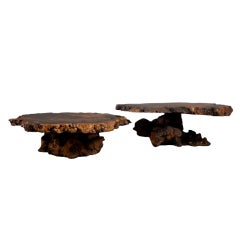 Vintage An Amber Inlaid Cyprus Wood Root Coffee Table 1960s