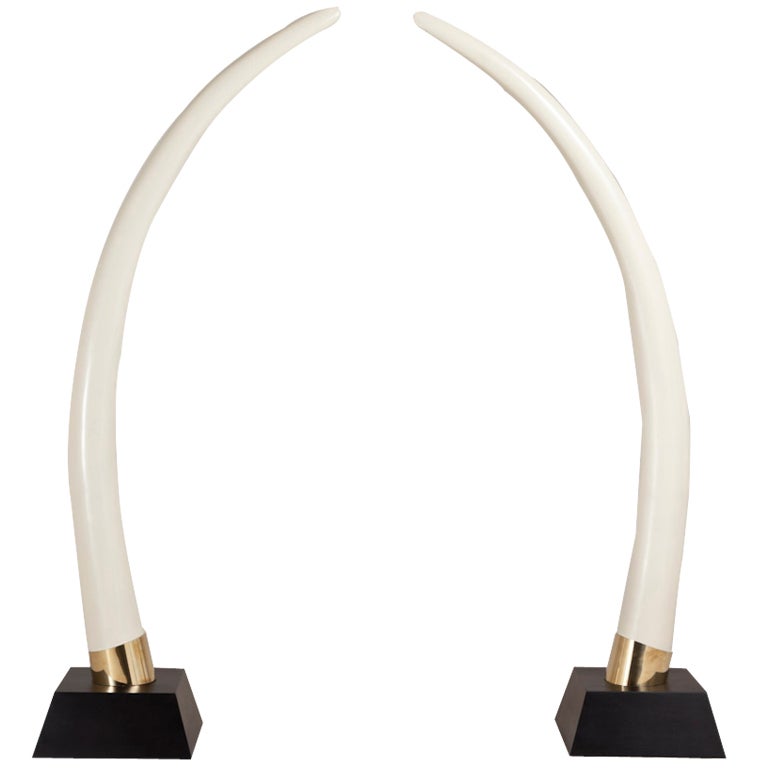 A Pair of Faux Elephant Tusks on Ebonised Bases 1970s at 1stdibs