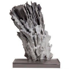 A Grey and White Coral Mounted on a Rectagular Lucite Base