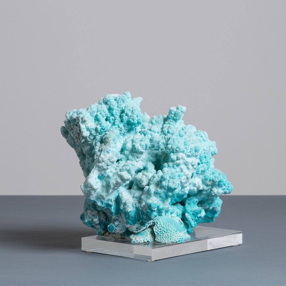 A Large Specimen Coral Sculpture