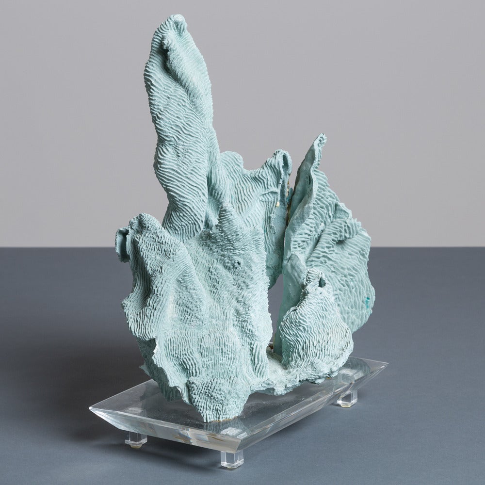 A Large Specimen Coral Sculpture at 1stdibs