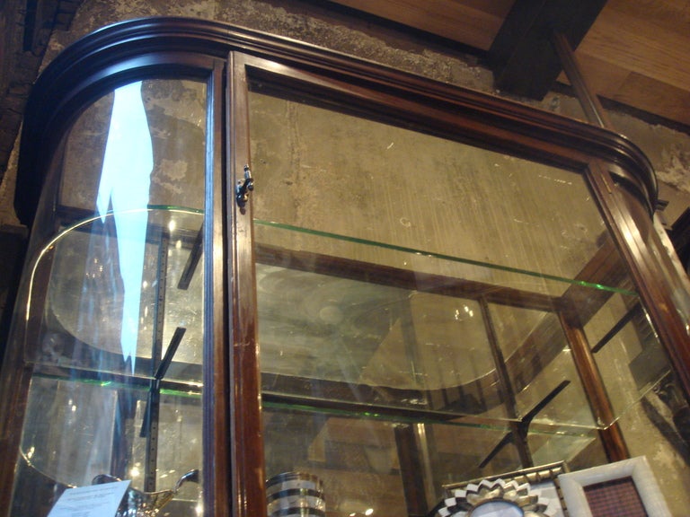 Mahogany and Glass Display Case In Excellent Condition For Sale In New York, NY