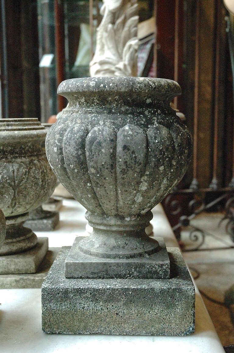 Marble Early 20th Century English Urns For Sale