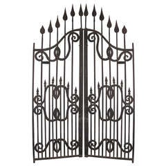 Gates from a Famous Venetian Palazzo 1
