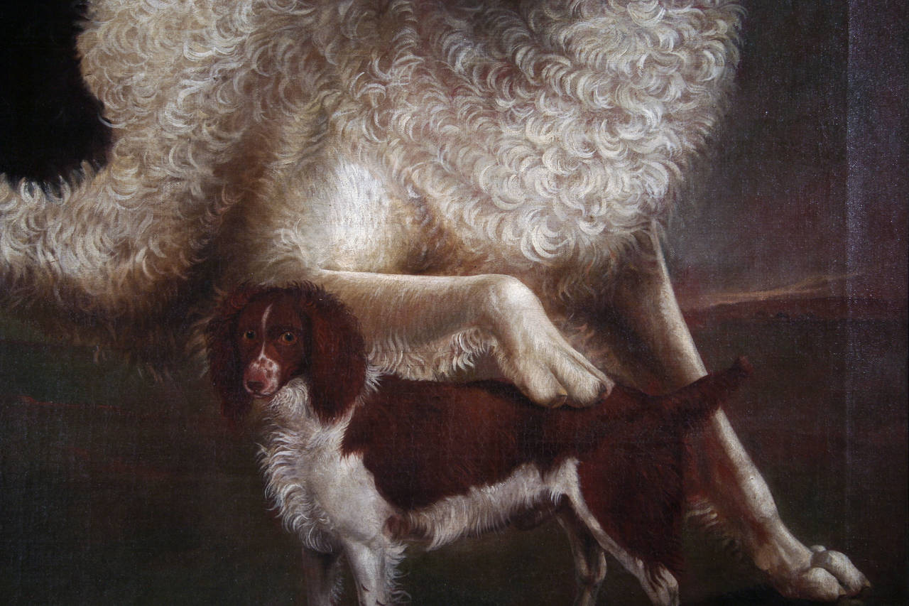 18th Century and Earlier Newfoundland and Spaniel in a Coastal Landscape, possibly by Wootton For Sale
