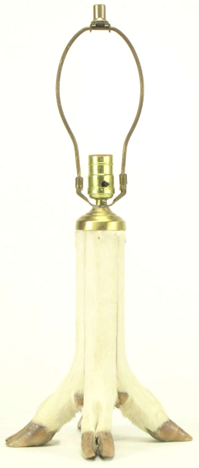 Deer Hoof Taxidermy Table Lamp