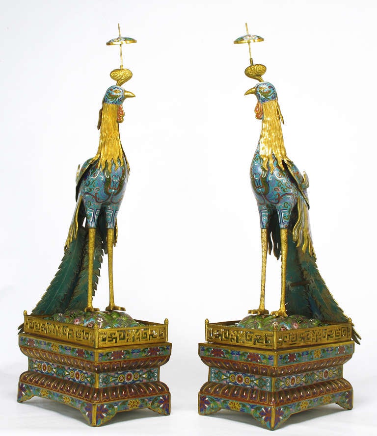 Rare palatial pair of cloisonne enameled peacocks on cloisonne and gilt brass galleried pedestals. Each peacock is comprised of  three part rear feathers, arched back and winged plate, body with neck, head and top knot. Gilt brass and bronze