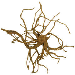 Extraordinary Tall Outsider Art Carved Root Sculpture with Centre Visage 5
