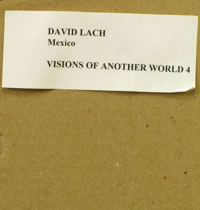 Peinture sur fibre de verre « Visions of Another World IV » de David Lach en vente 2