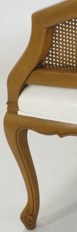 French Regency Walnut & White Leather Cane Back Chair 1