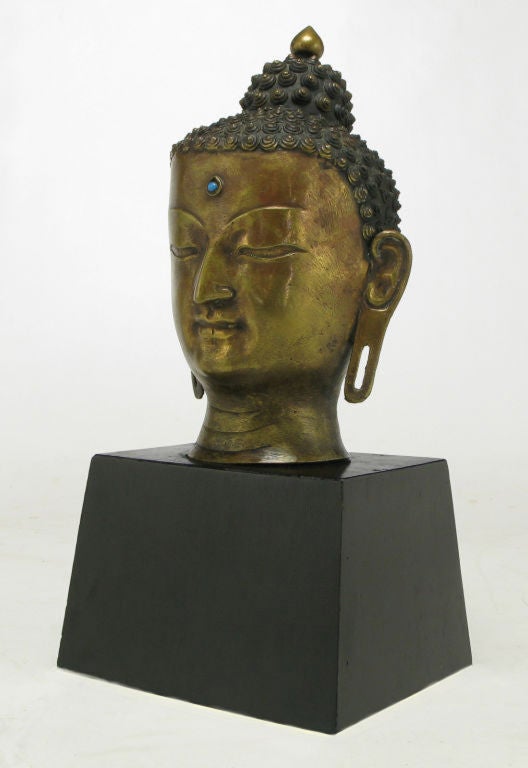 Heavy cast bronze Buddha bust or head on a black lacquered wood plinth. This Tibetan style Buddha has a light blue enameled dot between the eyes symbolizing enlightenment.  Elongated ear lobes represent a past wealth from when he wore heavy earrings.