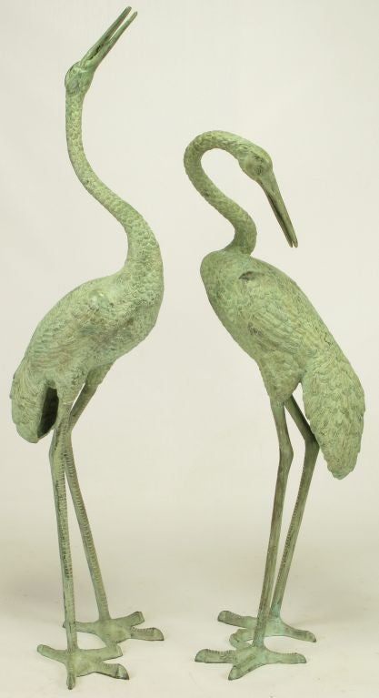 Pair of bronze cranes or herons that are larger than life size. Tallest is five and one half feet tall. Free standing, nicely cast and patinated to a beautiful verdigris finish.